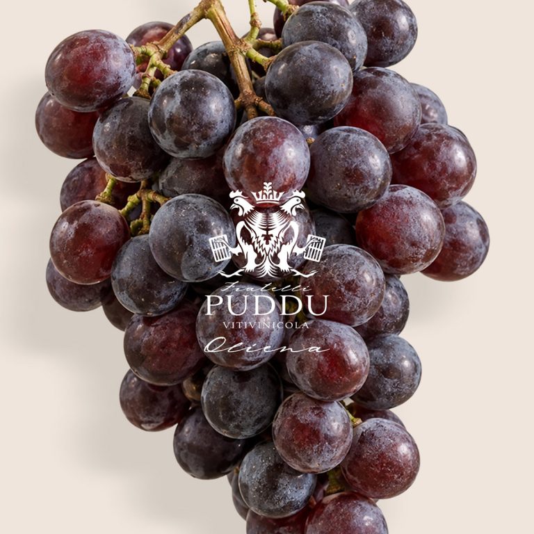 Restyling logo Fratelli Puddu